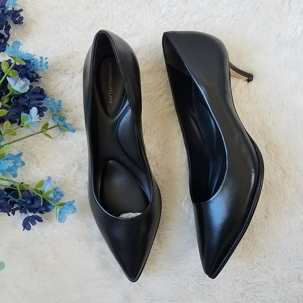 ANTONIO MELANI Ellen Leather Pointed Toe Pumps